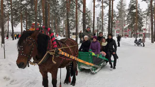 Рязанец рассказал, как он провел все праздники абсолютно трезвым – фоторепортаж