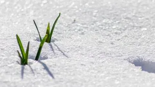 Весна серьезно запаздывает