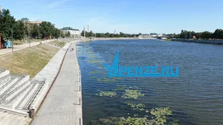 Транспортный прокурор установил нарушение требований безопасности причала на набережной Суры в Пензе