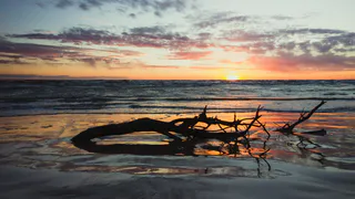 74-летний мужчина скончался в Скопинском районе из-за утопления