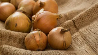 По ложке на литр: вот чем нужно обработать лук в апреле - головки до 3 кг