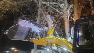 Ковровские спасатели предотвратили падение дерева на проезжую часть и провода высокого напряжения