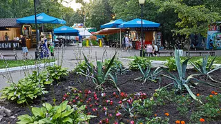 В Рязани стартует первый субботник