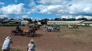 Петушинский район прочувствовал «Русский драйв»