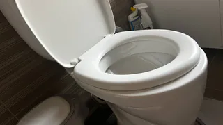 Муж крутит пальцем у виска, но унитаз блестит, как бриллиант: а нужно только кинуть пару чайных пакетиков – и будет чудо