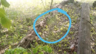 Под Рязанью 26 мая 2022 года обнаружена граната