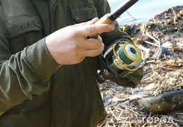 Жителя Коми “оштрафовали” за незаконный улов язя