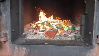 В Челябинской области уничтожили санкционный сыр из ЕС в печи крематория