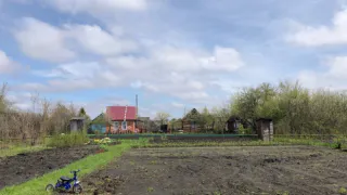 Самое популярное растение у дачников теперь запретили выращивать: новое правило для россиян