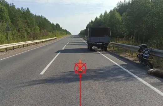 В Коми мопед сбил собаку: водитель получил травмы