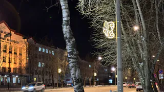 Пятничная погода в Челябинской области обещает гололедицу и слабый снег