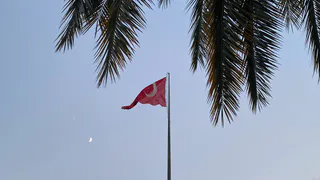 "Отдых 2025 под угрозой": в Турции обнаружен паразит, переносящий десятки болезней - туристы жалуются  