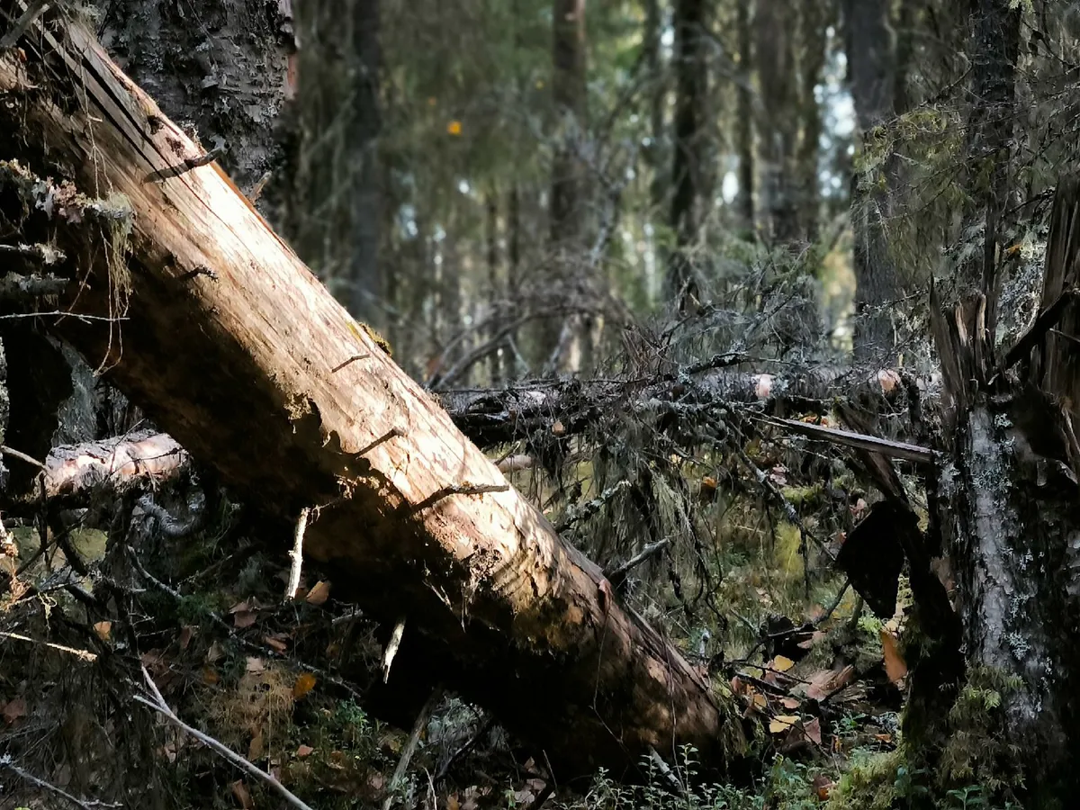 Астрологический прогноз на 6 мая: время компромиссов и новых возможностей