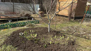 Штрафы полетят пачками: с 1 мая ужесточаются законы для всех дачников