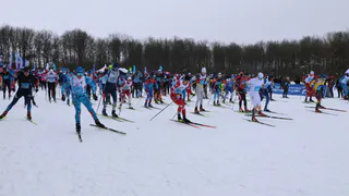 Во Владимире назвали победителей массовой гонки «Лыжня России»