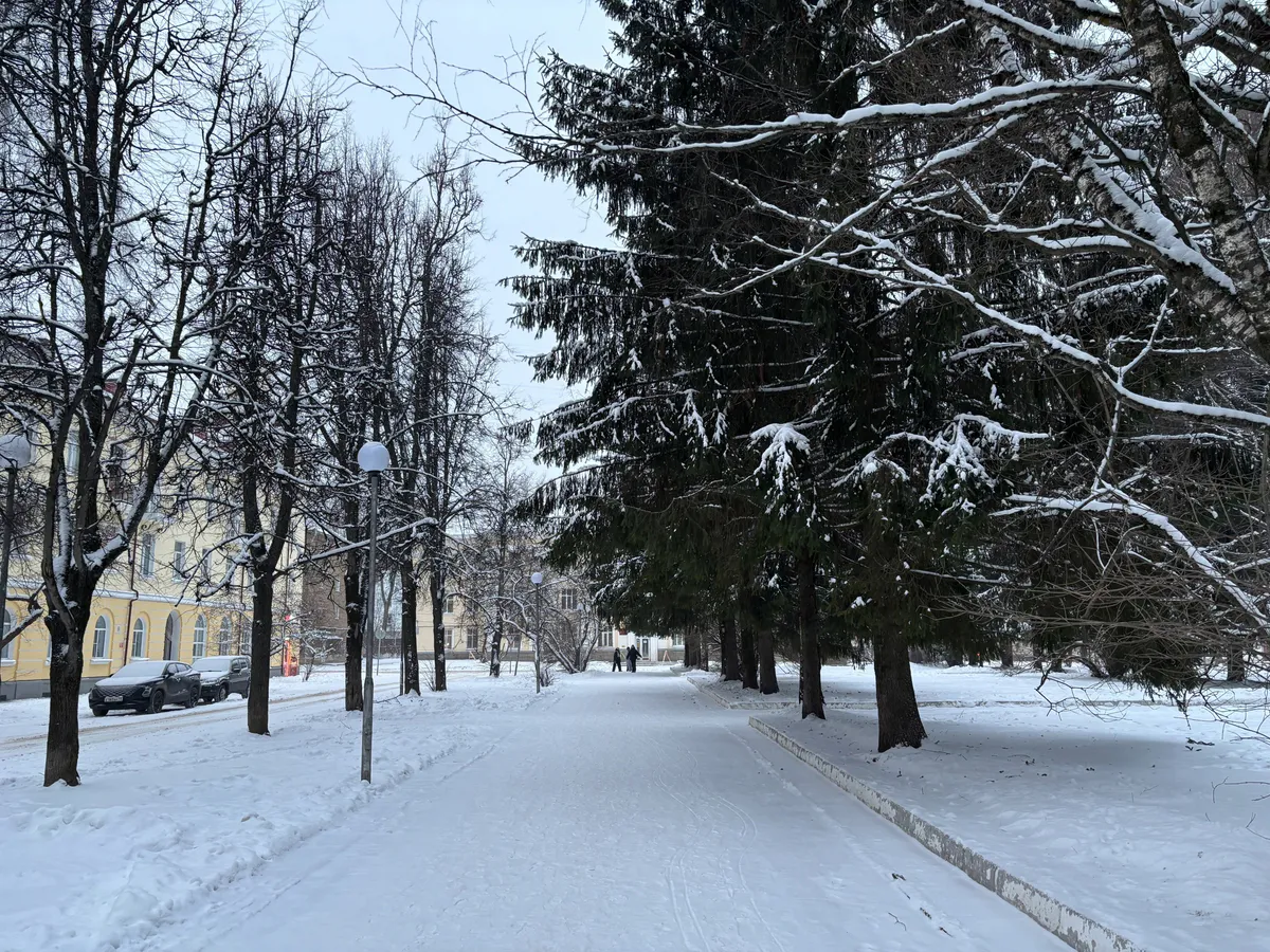 Антициклон наступает сильнее: в Челябинской области ожидаются февральские морозы до -34 градусов