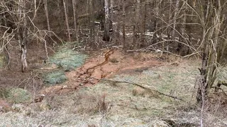 Во Владимирской области ядовитые отходы от предприятия растекались по местности