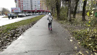 Летние каникулы сократят вдвое: утверждены новые даты — дети схватились за голову, а родители в восторге