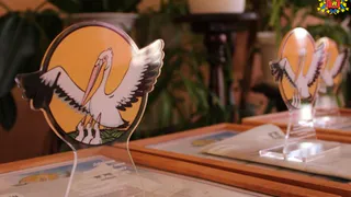 Во Владимирской области 30 учителей вышли в финал конкурса «Педагог года – 2026»