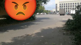 «Грязь и необрезанные ветки»: куда жаловаться на уборку улиц города?