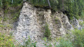 В Коми официально признали новый геологический памятник природы "Обнажение Доманик"