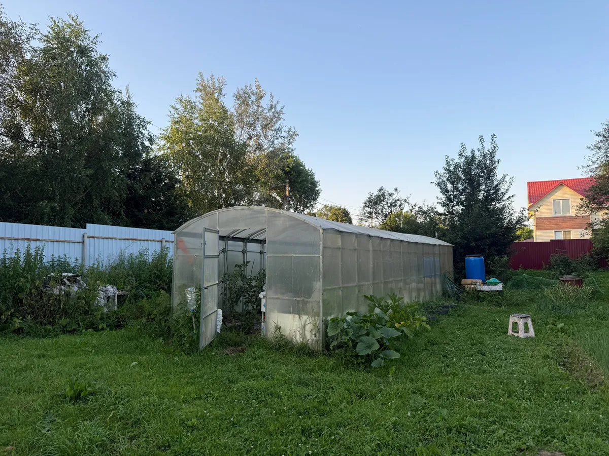 Теплицы нового поколения – поликарбонат уже прошлый век: придумали более долговечную замену без трещин, пыли и грязи