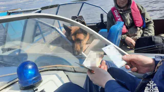 Инспекторы ГИМС обеспечивают порядок на водных объектах Коми