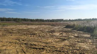 Природоохранная прокуратура Коми добилась ликвидации незаконной свалки