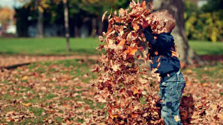 Ещё одно бабье лето и температура +20: синоптики обнадёжили россиян новым прогнозом погоды на октябрь