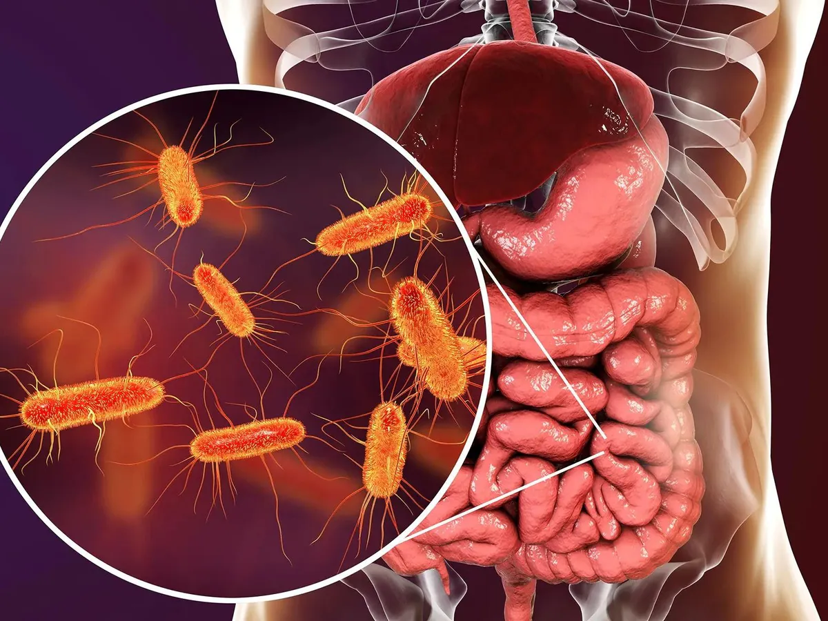 Осенняя ловушка: как уберечься от кишечной инфекции в сезон арбузов и закаток