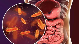 Осенняя ловушка: как уберечься от кишечной инфекции в сезон арбузов и закаток