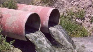 За год природе Татарстане нанесен ущерб на сумму более 360 млн рублей