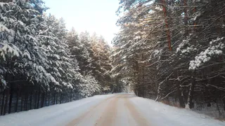 Лютые морозы: в Рязанской области повторился температурный рекорд 1918 года