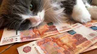 Не стаж и баллы: эти ошибки крадут вашу пенсию - юрист объяснил, как избежать