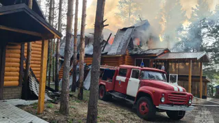 Под Пензой сгорел садовый дом