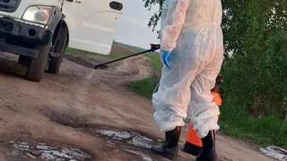 Выпали из грузовика: тушки мертвых кур, найденных под Рязанью, отправили в лабораторию