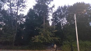 Освещение будет. В Приокском благоустраивают парк имени Гагарина