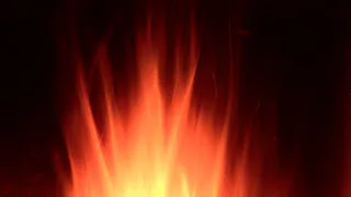 В Рязани в результате пожара сгорел автомобиль