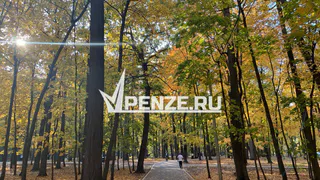 В Пензенской области благополучно завершились поиски 94-летней пенсионерки, заблудившейся в лесу