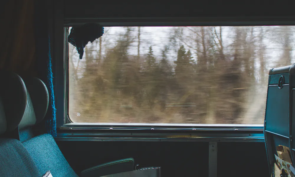 Покупаю билеты и еду всю дорогу в купе одна: проверенный способ избавиться от соседей