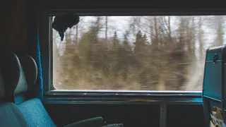 Покупаю билеты и еду всю дорогу в купе одна: проверенный способ избавиться от соседей