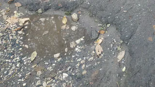 Во двор не проехать: житель Канищева сообщил, что проезд к его дому превратился в бездорожье