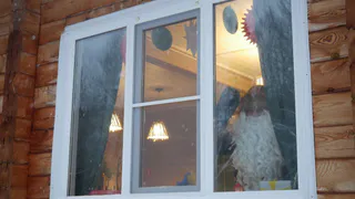 Ростислав Гольштейн пригласил Деда Мороза переехать в Коми