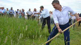 В Брянске чиновники пророчат огромный урожай в регионе