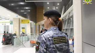 Судебные приставы Татарстана выдворили почти 600 иностранных граждан