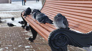 Гидрометцентр зафиксировал аномально низкие температуры в Чувашии в период первой волны похолодания