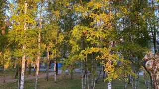 3 октября принесет прохладную, но преимущественно сухую погоду