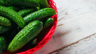 Замучает плодоносить: этот ранний огурец увешан плодами сверху донизу, словно гирляндой — накормит все село