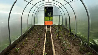 Отныне для огурцов делаю только такие подвязки: идею подсмотрела у опытного фермера