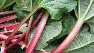 Опасный для здоровья овощ: в Европе от него отказались, а в России продолжают выращивать и готовить